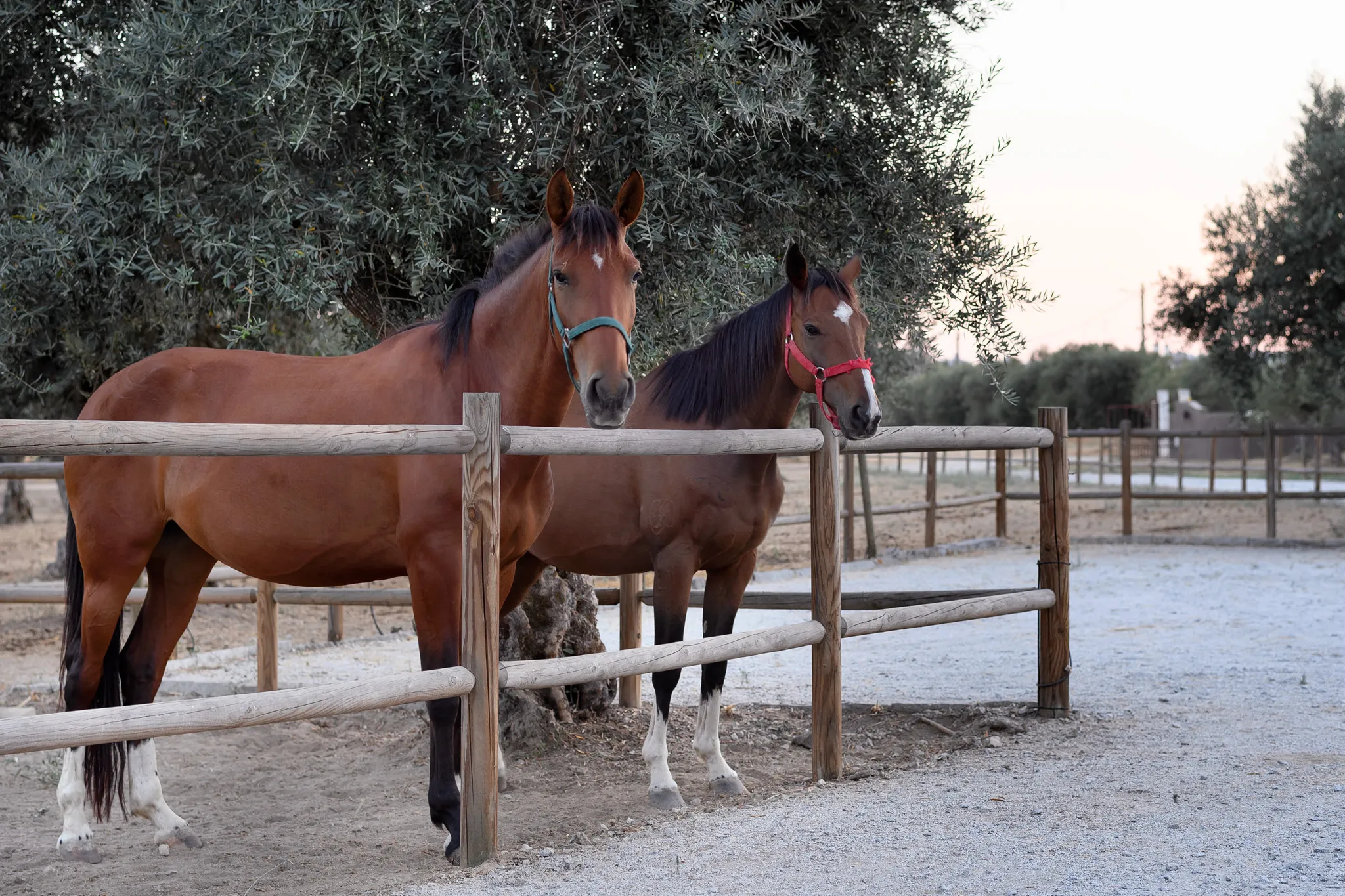 Casa do Governador - Interior